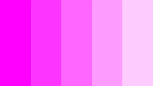 Kombinasi Warna dan Palet