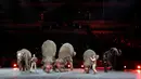 Sejumlah gajah melakukan aksi dengan mengangkat kedua kaki belakangnya selama Ringling Bros dan Barnum & Bailey Circus ' " Circus Ekstrim " di Casey Plaza, Pennsylvania , AS , 30 April 2016. (REUTERS / Andrew Kelly)