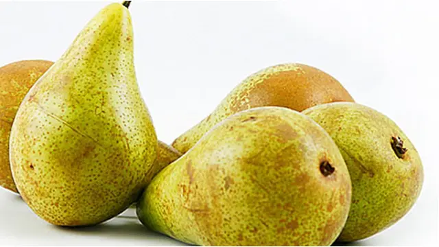 Courtesy uncooking101com