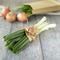 Ilustrasi daun bawang/credit: pexels.com/Larissa