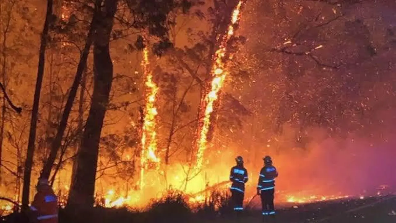 Kebakaran hutan di Australia kian meluas.