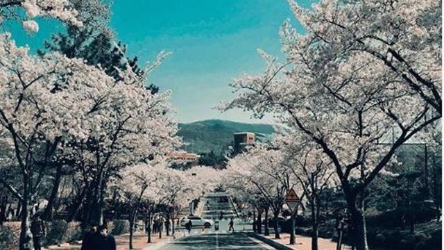 Drama Korea Ini Pernah Syuting di Daegu yang Terkena Wabah Corona