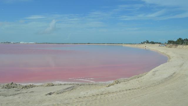 Las Coloradas