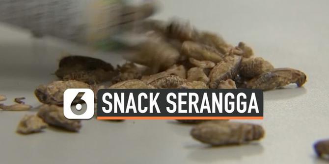 VIDEO: Produsen Snack Serangga Raup Untung Miliaran Rupiah