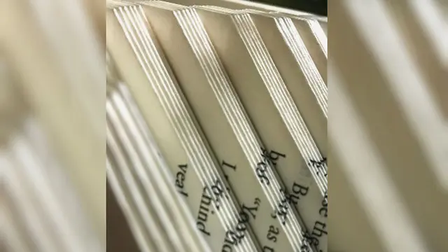 Jika dilihat dari bagian sampul, buku terlihat seperti buku pada umumnya. Namun, ketika dibuka, buku tersebut akan memunculkan pop up memukau mata.