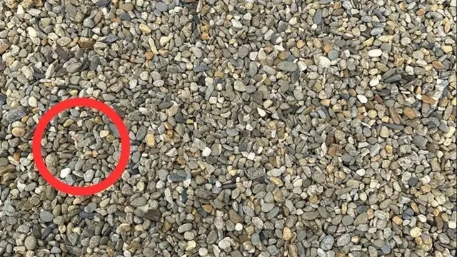 Uji Kejelian Mata, Temukan Bebek yang Tersembunyi di Antara Batu Kerikil Ini