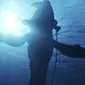 Salah satu adegan Avatar: The Way of Water. Penuh dengan makhluk-makhluk air Pandora yang unik.