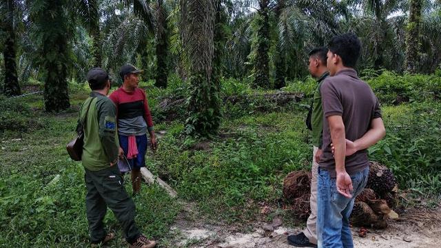 Personel BBKSDA Riau mengecek lokasi temuan jejak satwa liar yang sempat dikira milik harimau sumatra.