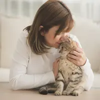 Ilustrasi/Shutterstock.com/ANURAK PONGPATIMET