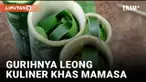 vertical leong
