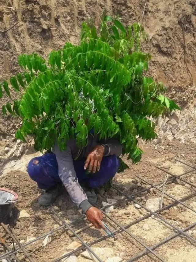 6 Ide Kuli Bangunan Terhindar dari Panas Ini Kreatif Sekaligus Kocak