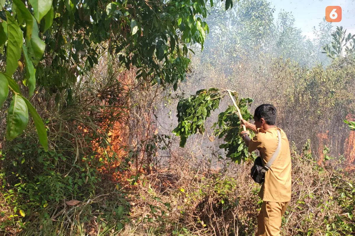 Karhutla Kalimantan Selatan Kalsel Banjarbaru