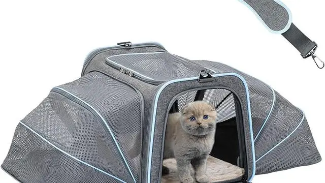 Petsfit 2 Side Expandable Pet Carrier