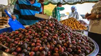 Lestarikan Buah Kurma di Tanah Air dengan Eco Masjid