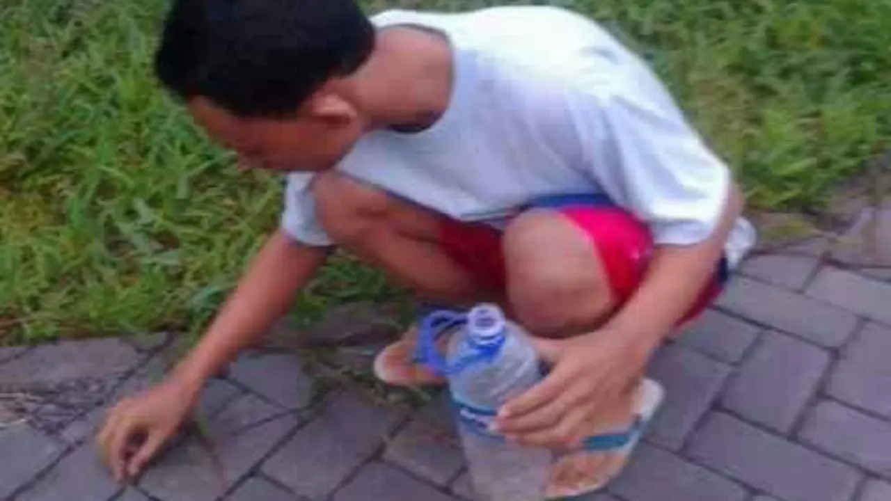 faisal