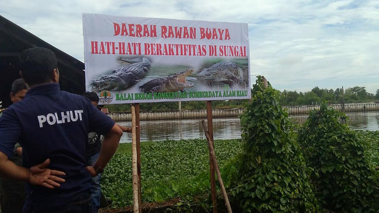 Lokasi buaya berjemur