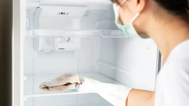 Beli Kulkas 1 Pintu atau 2 Pintu, Mana yang Paling Sesuai dengan Kebutuhan?