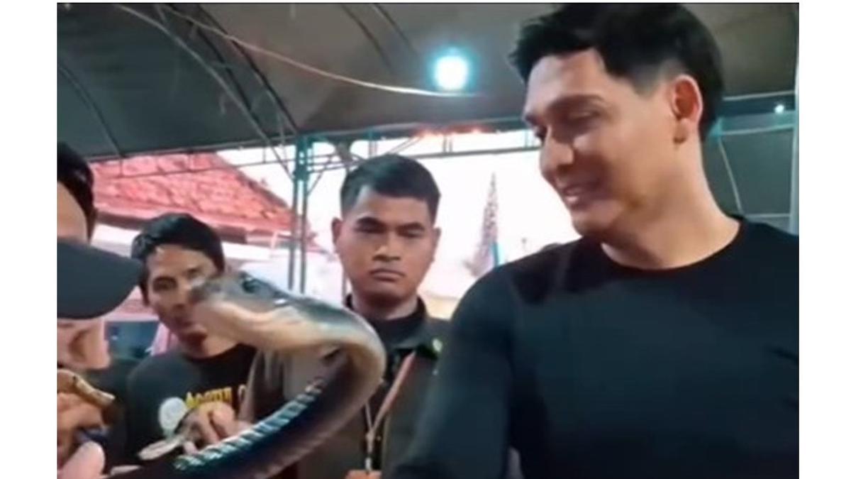 6 Fakta Bupati Lucky Hakim Sebar Ular ke Sawah, Hewannya Cuma Sebesar Jempol Kaki Orang Dewasa