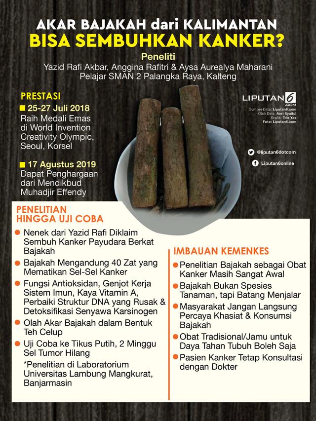 Infografis Akar Bajakah dari Kalimantan Bisa Sembuhkan Kanker?