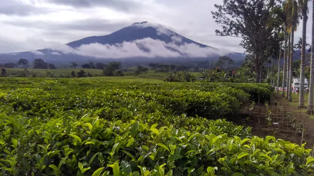 Pagi Menggigil Ditemani Gagahnya Kerinci