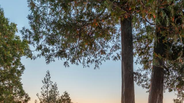 Cave Point County Park