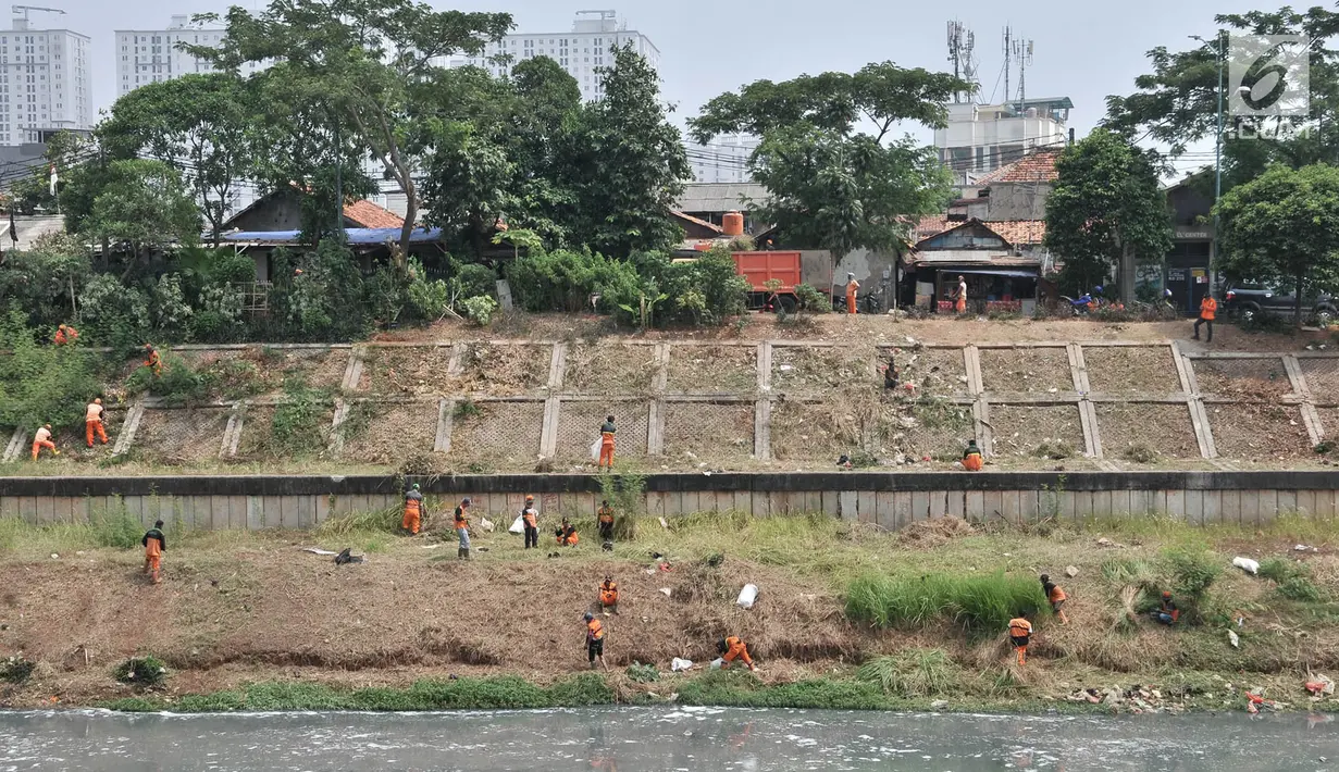 Petugas PPSU dan Sudin Tata Air Jakarta Timur membersihkan sampah dan tanaman liar di sepanjang aliran Kanal Banjir Timur (KBT), Senin (15/10). Aksi dilakukan guna mengantisipasi banjir sekaligus mempercantik kawasan KBT. (Merdeka.com/ Iqbal S. Nugroho)