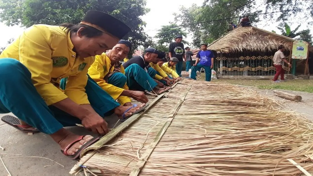Rendaman Jerami Alat Sederhana Perangkap Nyamuk DBD