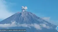 Gunung Semeru Erupsi, Tinggi Letusan Hingga 700 Meter