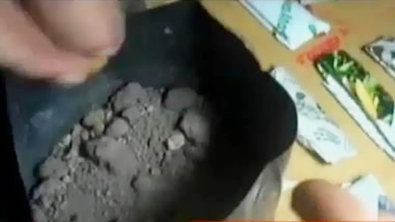 VIDEO: Ringkus Bandar Narkoba, Polisi Temukan Bibit Ganja