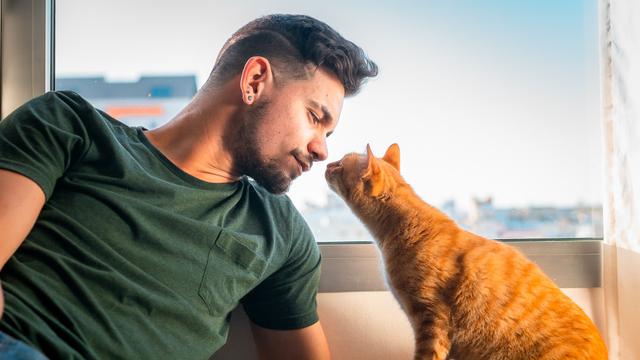 Bukan Ciuman, Ini Cara Menunjukkan Cinta pada Kucing Kesayangan