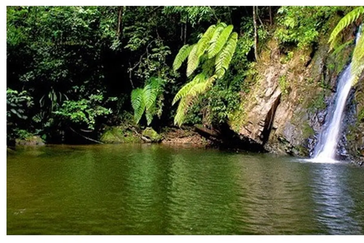Air Terjun Batu Dinding, Surga Tersembunyi di Riau