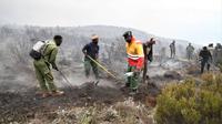 Sebuah insiden kebakaran terjadi di Gunung Kilimanjaro di Tanzania, puncak tertinggi di Afrika, pada Jumat (21/10) malam waktu setempat. (Xinhua)