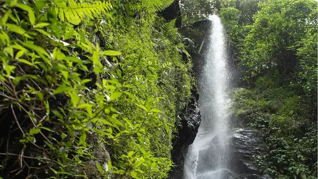 Destinasi Wisata Solo Parang Ijo