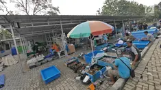 Pedagang ikan hias berjualan di Bursa Pasar Ikan dan Hewan Jatinegara, Jakarta, Jumat (21/6/2019). Sejak Senin (17/6) pedagang ikan hias di Pasar Hewan Jatinegara mulai direlokasi ke Lapangan Jenderal Urip Sumihardjo guna mengembalikan fungsi trotoar. (Liputan6.com/Herman Zakharia)