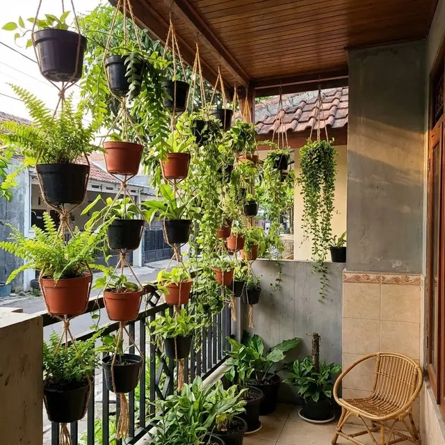 Teras Rumah Sempit Jadi Kebun Hijau
