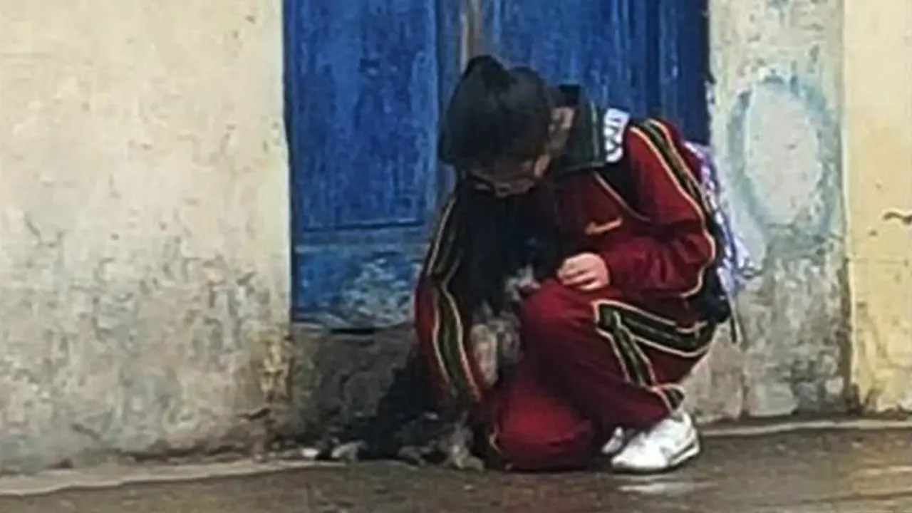 Seorang Gadis Lindungi Anjing dari Hujan