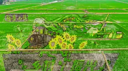 Setiap tahun petani di Shenyang, membuat sawah mereka menjadi sebuah karya seni yang berwarna-warni yang dapat menarik wisatawan ke tempat tersebut. (STR / AFP)