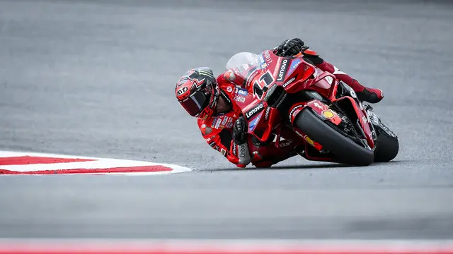 Nicolo Bulega