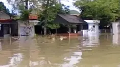 liputan6