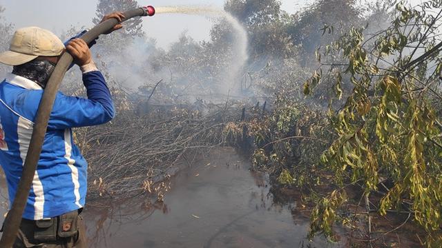 Petugas memadamkan kebakaran lahan di Pelalawan agar tidak meluas dan menimbulkan bencana kabut asap.