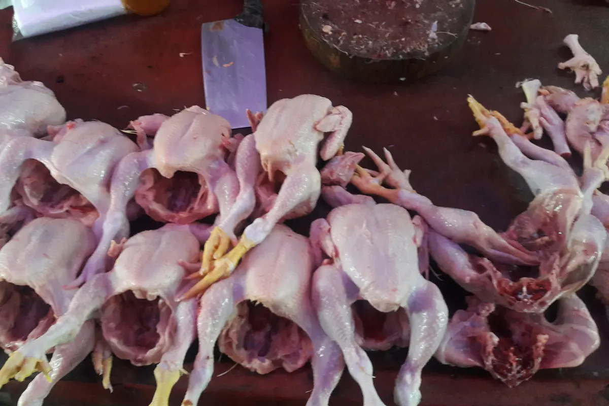 daging ayam