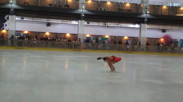 Ilustrasi Ice Skating