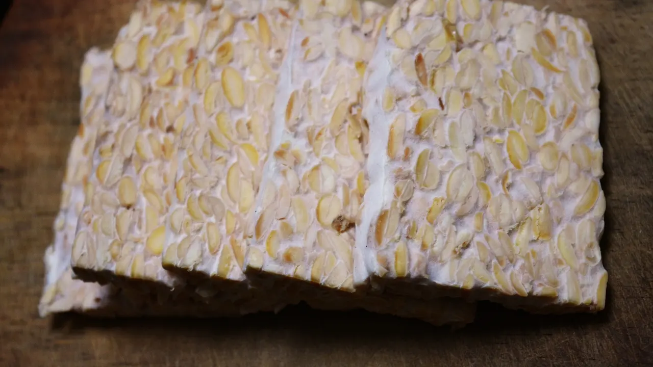 Tempeh