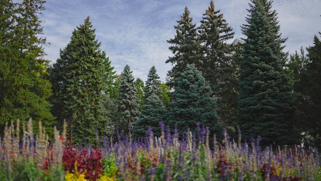 Biodiversity