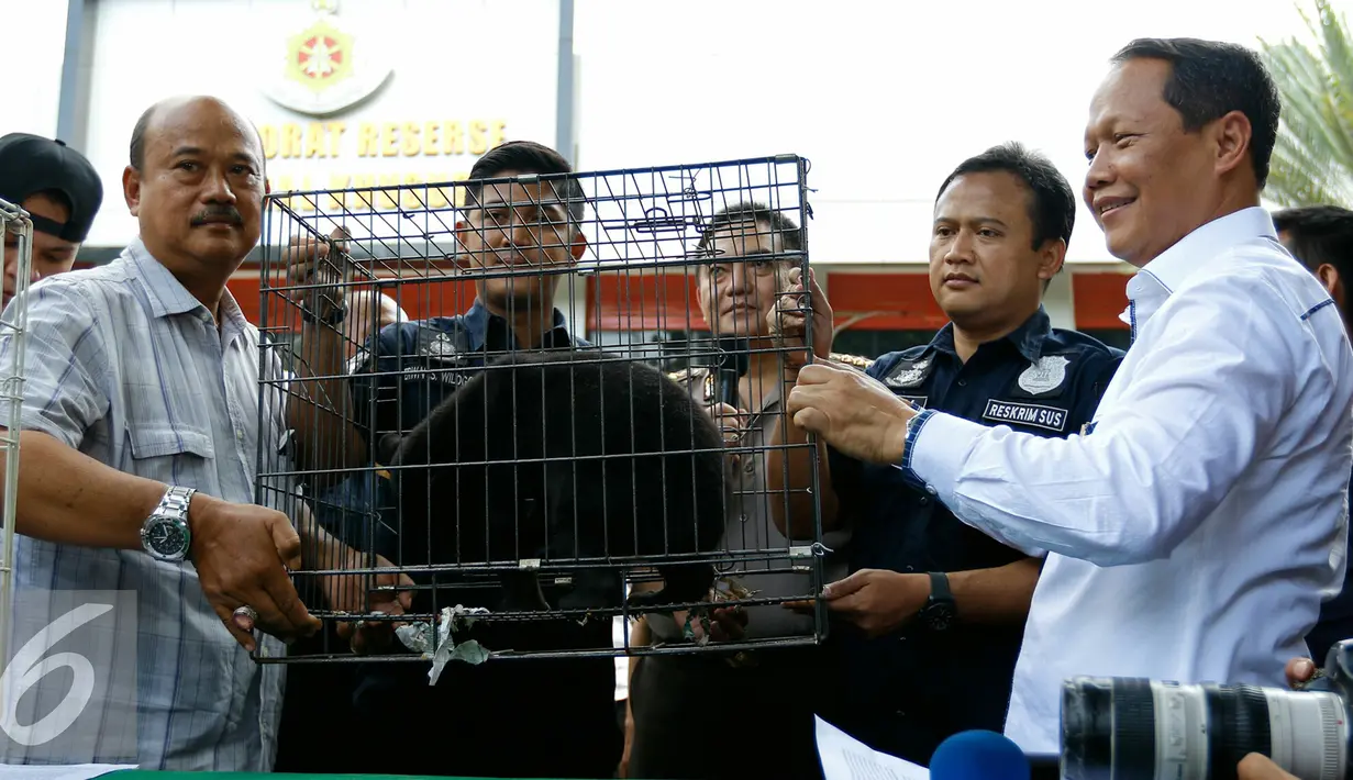 Direktur Reserse Kriminal Khusus (Dirkrimsus) Polda Metro Kombes Pol Mujiono (kanan) menyerahkan seluruh satwa kepada BKSDA Jawa Barat, Jakarta, Rabu (18/11/2015). (Liputan6.com/Yoppy Renato)