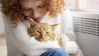 Ilustrasi Mimpi Menggendong Kucing Credit:Freepik.com