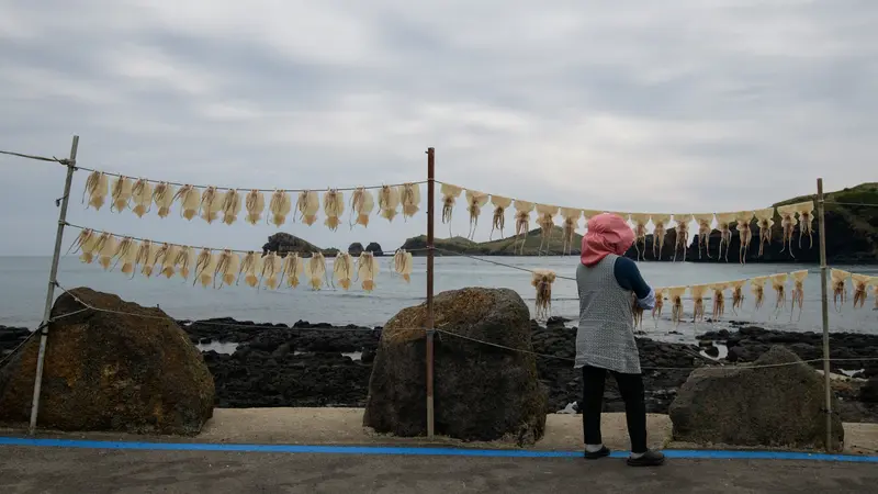 Pesona Menakjubkan Pulau Jeju Korea Selatan