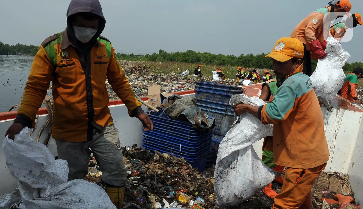 Kawasan Mangrove di Muara Angke terbagi beberapa wilayah yang dikelola oleh pihak berbeda. (merdeka.com/Imam Buhori)
