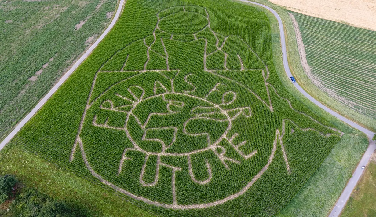 Pandangan udara memperlihatkan labirin dengan potret aktivis iklim Swedia Greta Thunberg menghiasi ladang jagung di Selm, Jerman, Rabu (10/7/2019). Dalam labirin tersebut juga terdapat pesan bertulis 'fridays for future'. (INA FASSBENDER/AFP)