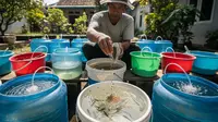Cara Ternak Lele Galon Bekas untuk Usia 55 Tahun, Produktif di Usia Senja